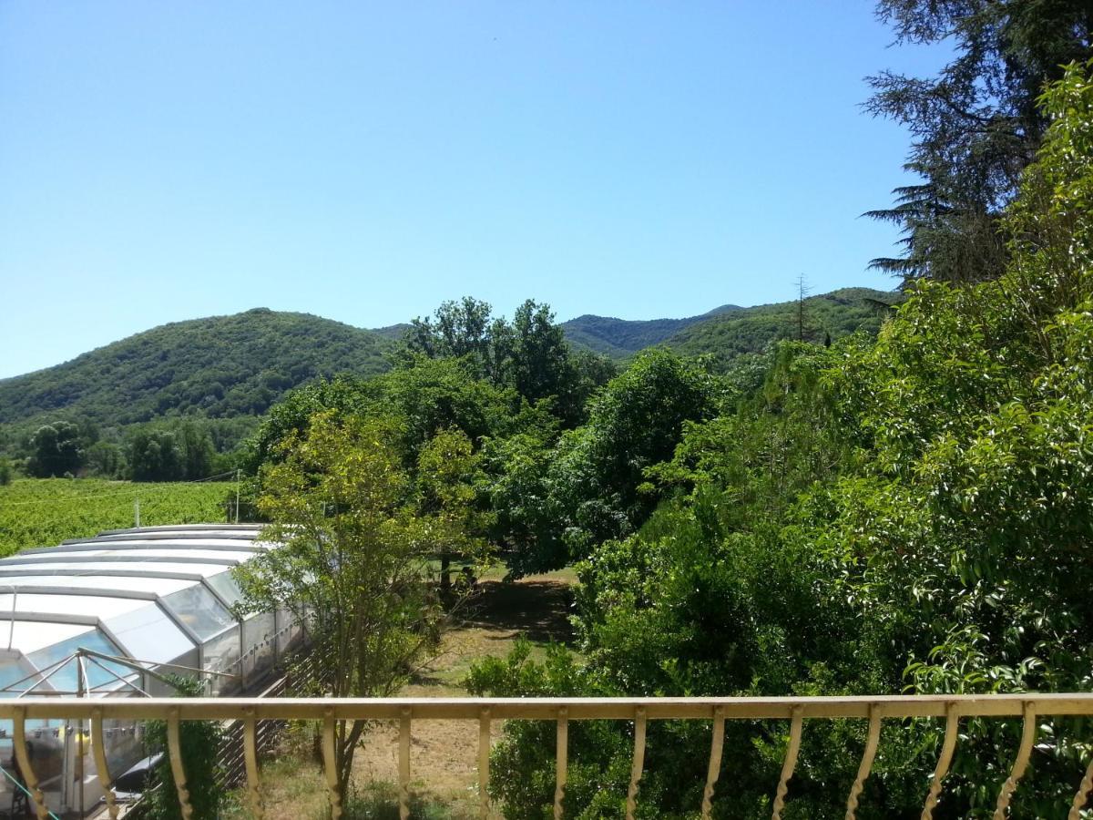 Villa Les Martinets-Piscine-Jacuzzi-Voie Verte-Gorges D'Heric-Massif Du Caroux Mons Olargues 34600 Le Poujol-sur-Orb Exteriér fotografie