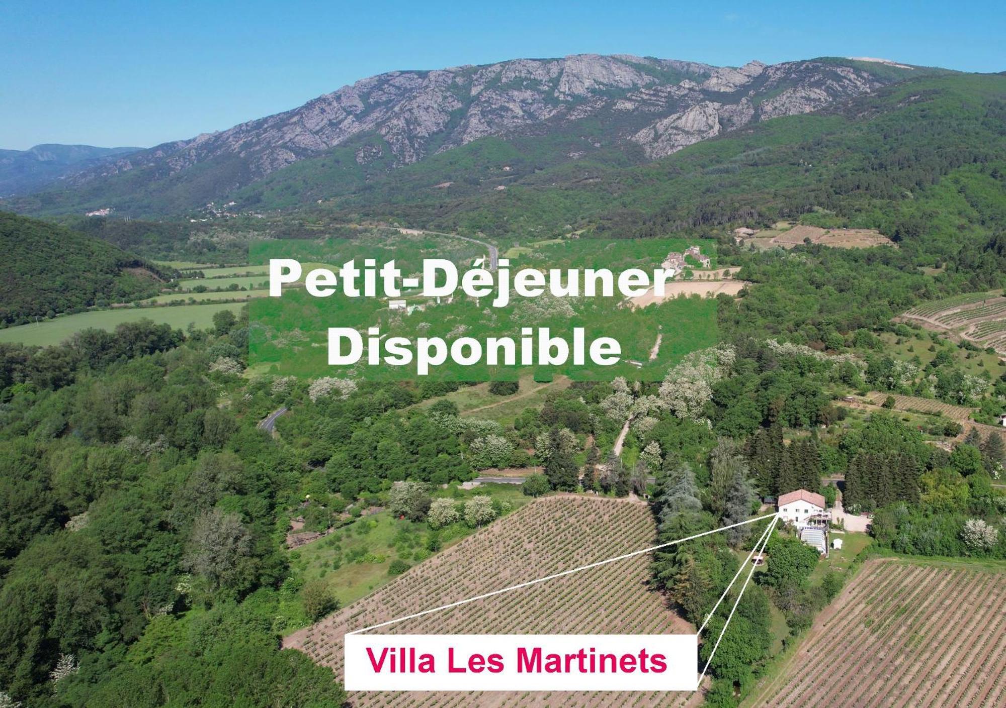 Villa Les Martinets-Piscine-Jacuzzi-Voie Verte-Gorges D'Heric-Massif Du Caroux Mons Olargues 34600 Le Poujol-sur-Orb Exteriér fotografie